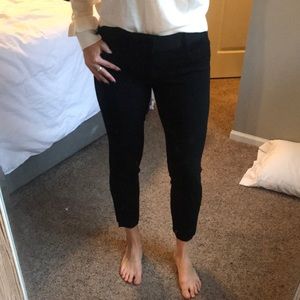 Banana Republic Dress Pant